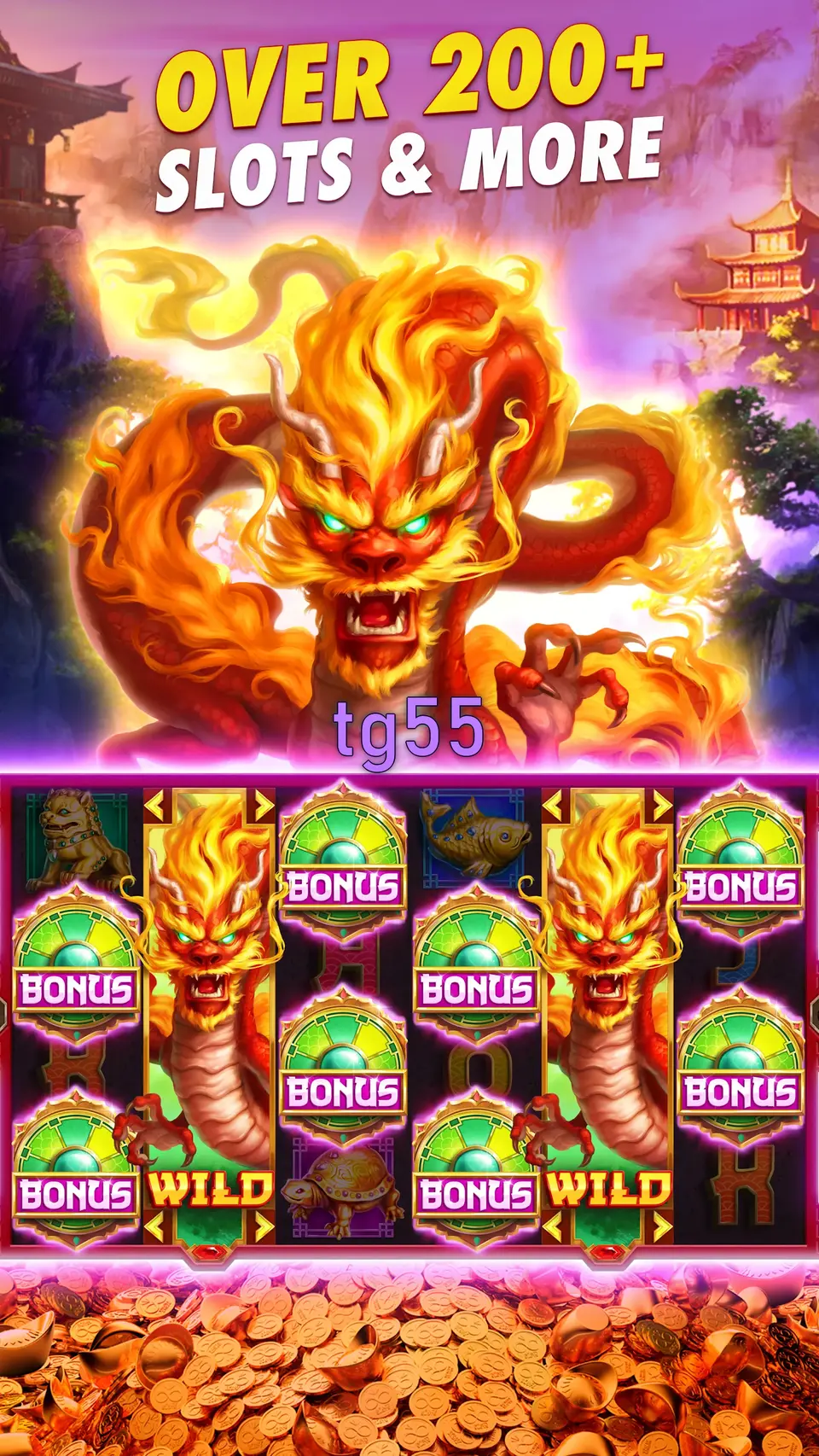 tg55 Login