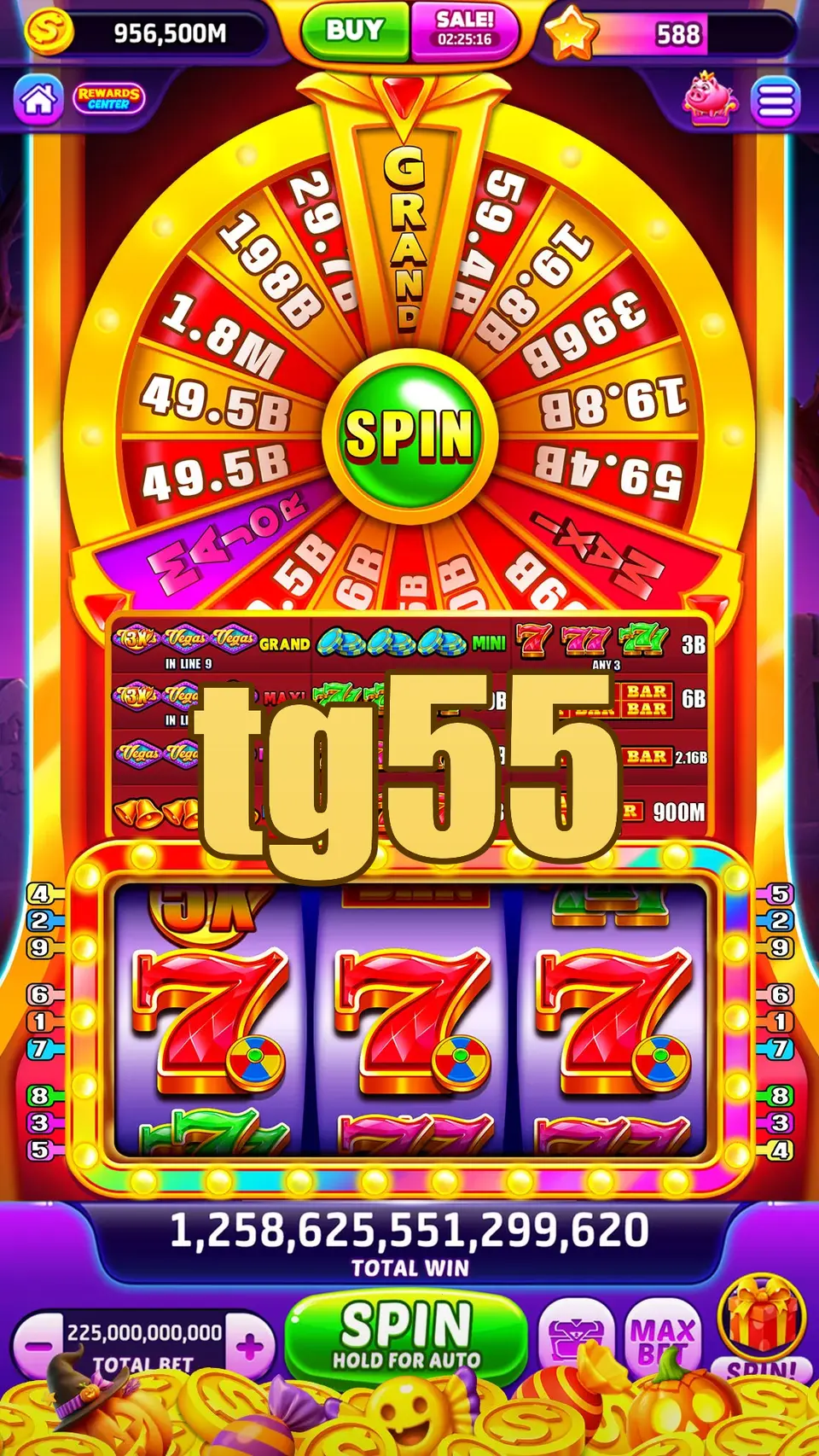 tg55 Login